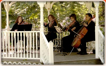 Photo of Marin String Quartet
