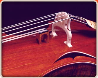 Photo of The Redwood Strings